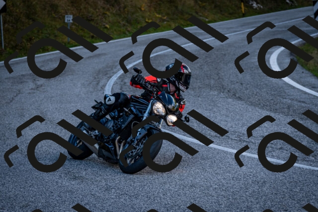 202510191243-DSC_9184_c2