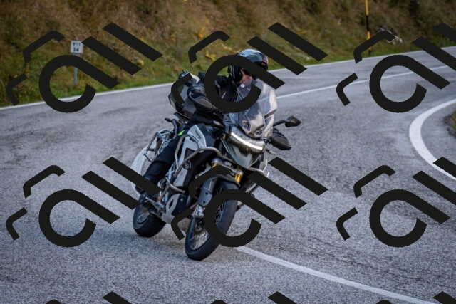 202510191243-DSC_9188_c2