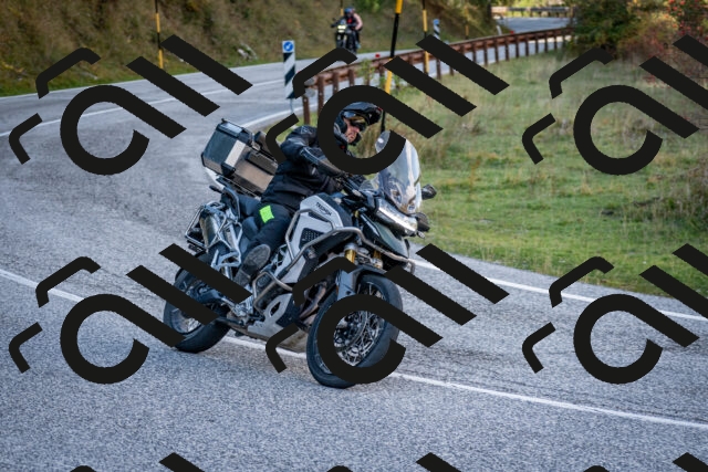 202510191243-DSC_9189_c2