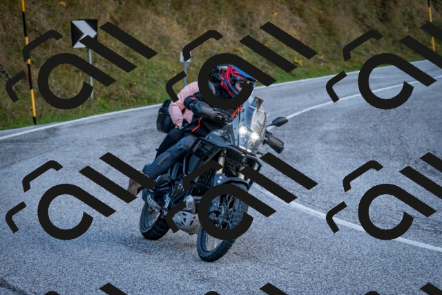 202510191243-DSC_9191_c2