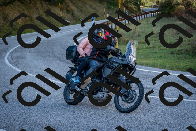 202510191244-DSC_9192_c2