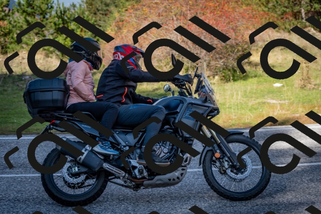 202510191244-DSC_9193_c2