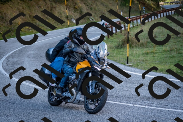 202510191244-DSC_9194_c2