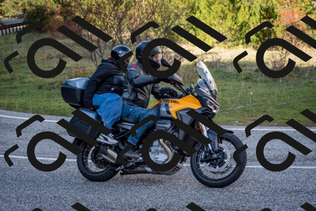 202510191244-DSC_9196_c2