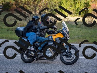 202510191244-DSC_9196_c2