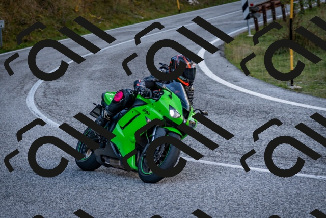 202510191247-DSC_9201_c2