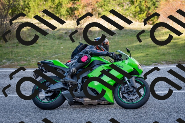 202510191247-DSC_9203_c2