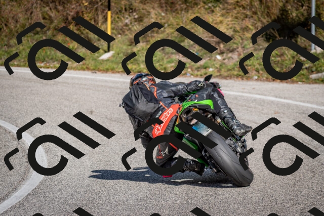 202510191247-DSC_9205_c2