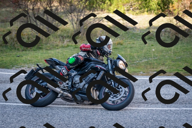 202510191247-DSC_9208_c2