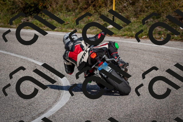 202510191247-DSC_9210_c2