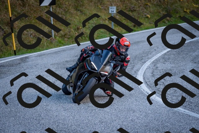 202510191247-DSC_9211_c2