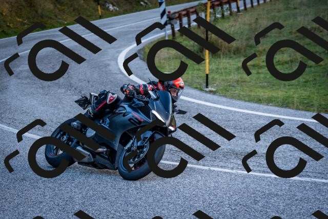 202510191247-DSC_9213_c2