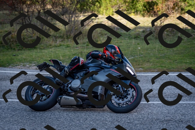 202510191247-DSC_9214_c2