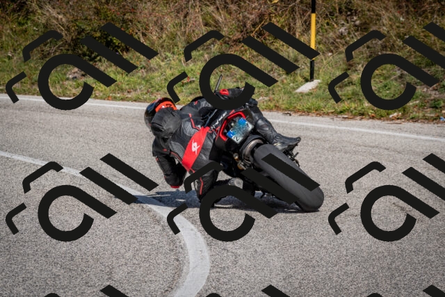 202510191247-DSC_9217_c2