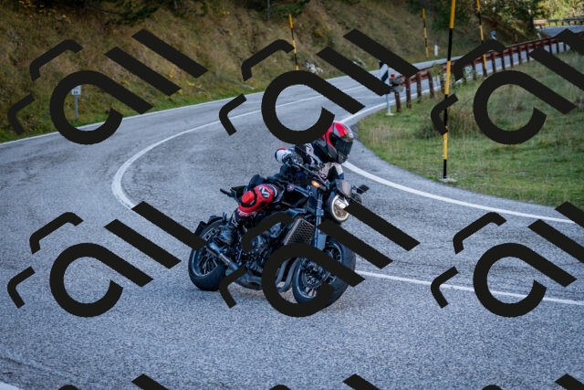 202510191247-DSC_9221_c2