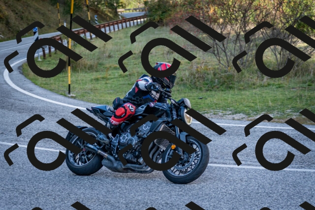 202510191247-DSC_9222_c2