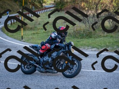 202510191247-DSC_9222_c2