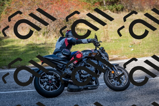 202510191247-DSC_9224_c2