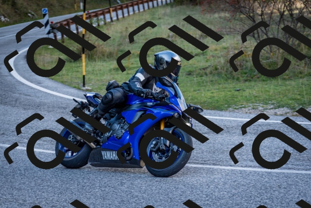 202510191247-DSC_9226_c2