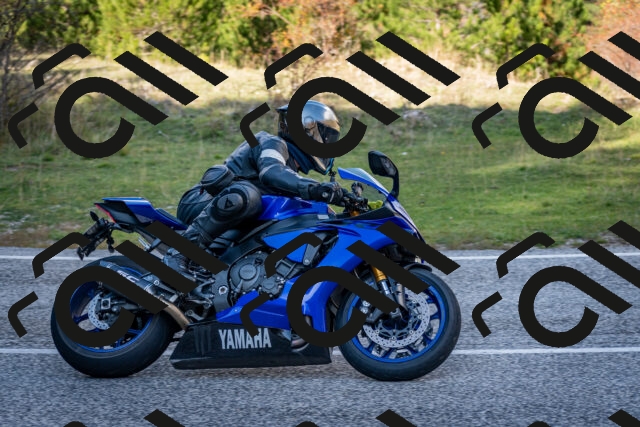 202510191247-DSC_9227_c2