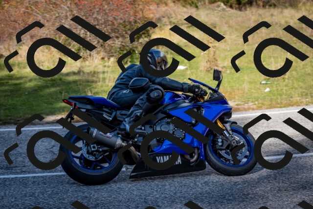 202510191247-DSC_9228_c2