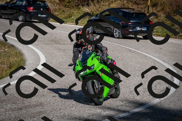 202510191249-DSC_9231_c2