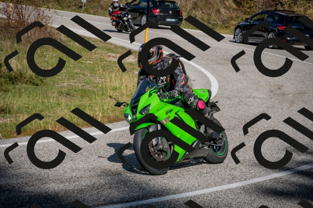 202510191249-DSC_9232_c2