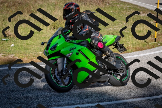 202510191249-DSC_9233_c2