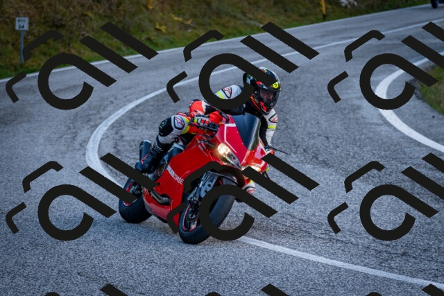 202510191249-DSC_9238_c2