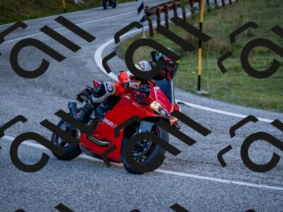 202510191249-DSC_9239_c2