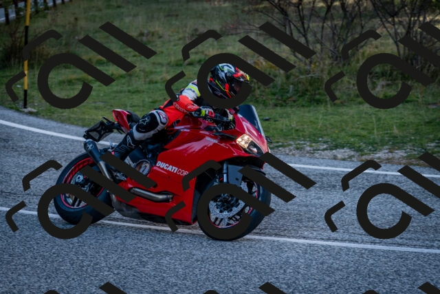 202510191249-DSC_9240_c2