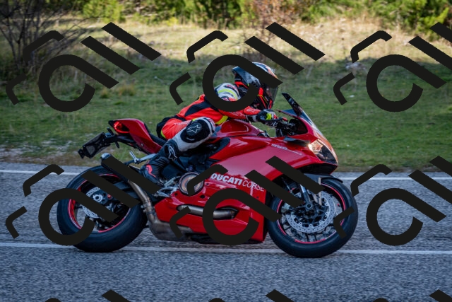 202510191249-DSC_9241_c2