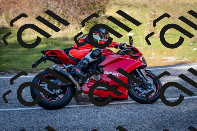 202510191249-DSC_9242_c2