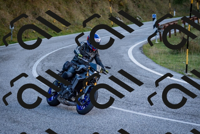 202510191249-DSC_9243_c2