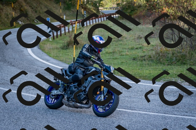 202510191249-DSC_9244_c2