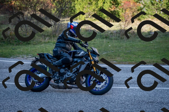 202510191249-DSC_9245_c2