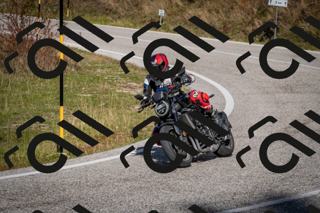 202510191250-DSC_9246_c2