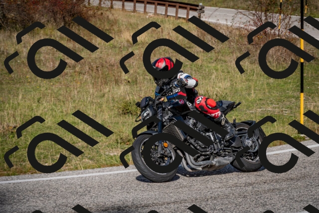 202510191250-DSC_9247_c2