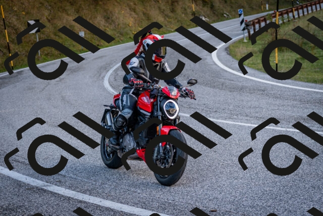 202510191250-DSC_9249_c2