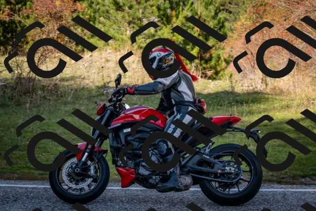 202510191250-DSC_9254_c2