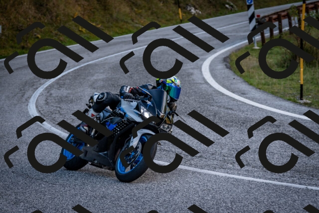 202510191250-DSC_9256_c2