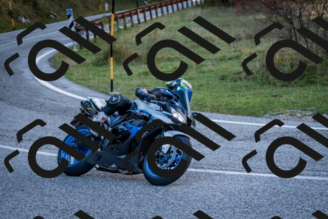 202510191250-DSC_9257_c2