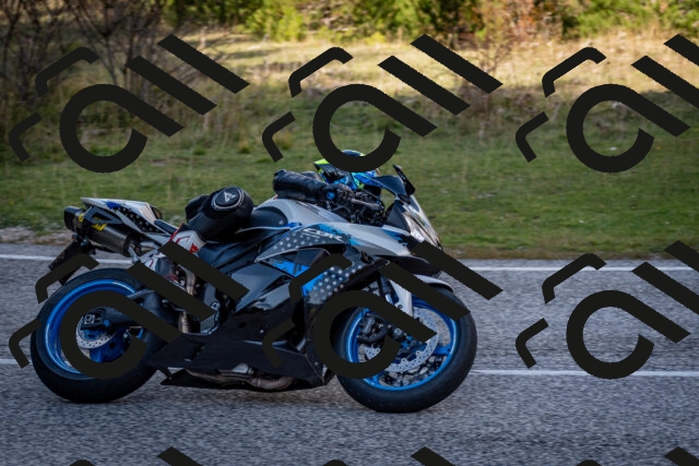 202510191250-DSC_9258_c2