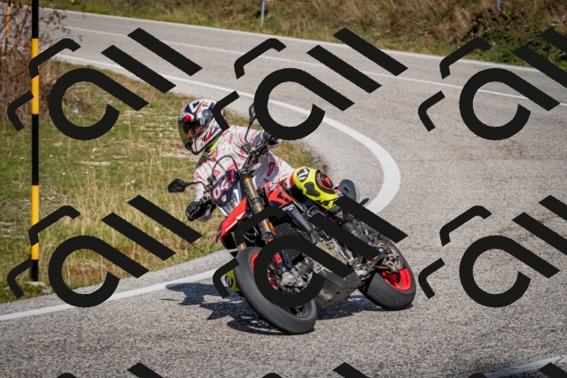 202510191250-DSC_9261_c2