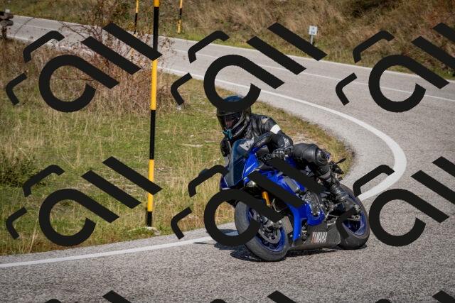 202510191250-DSC_9263_c2