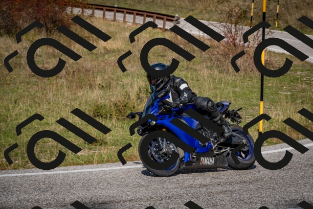 202510191250-DSC_9264_c2