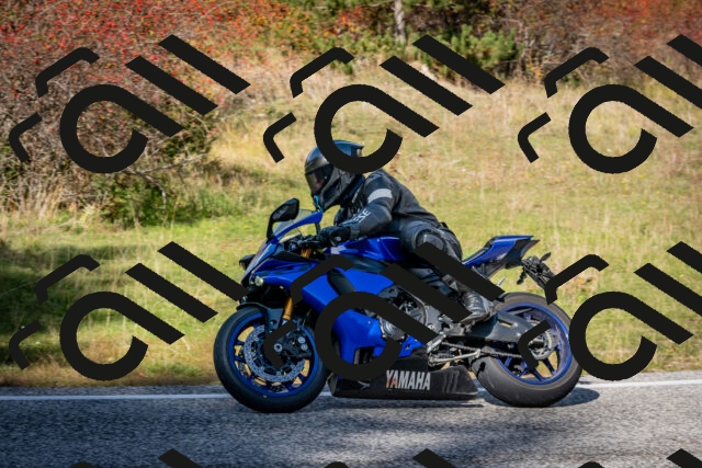 202510191250-DSC_9265_c2