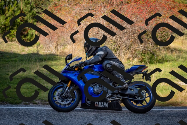 202510191250-DSC_9266_c2