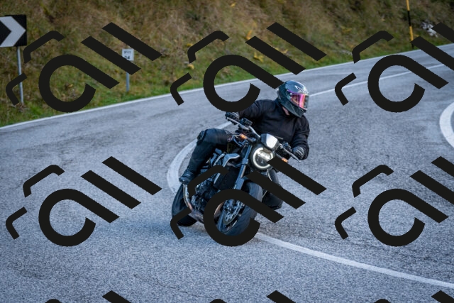 202510191251-DSC_9267_c2