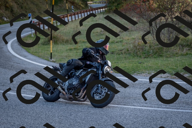 202510191251-DSC_9268_c2